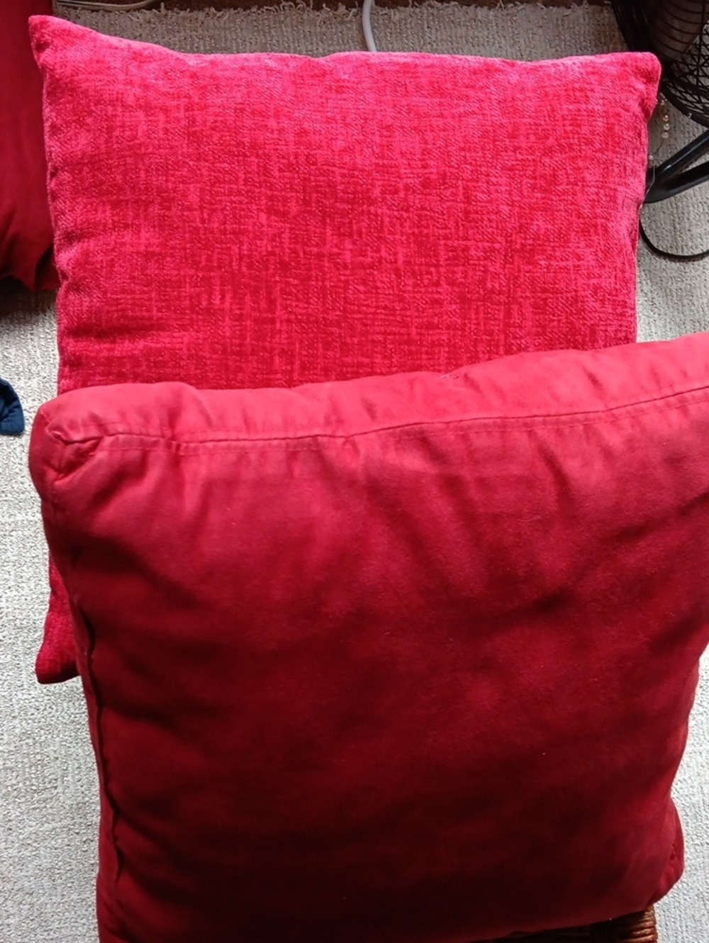 Red Decorative Throw Pillow - Plush Home Accent